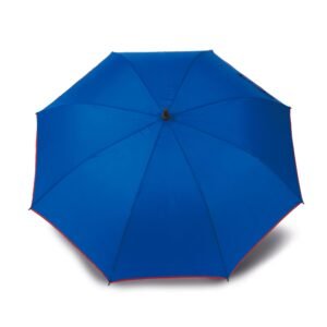 Parapluie automatique — Photo produit